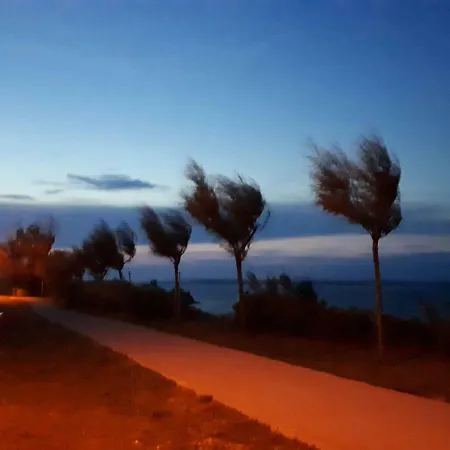 Iris Sabunike