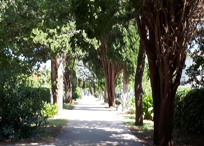 Apartament Iris Sabunike *