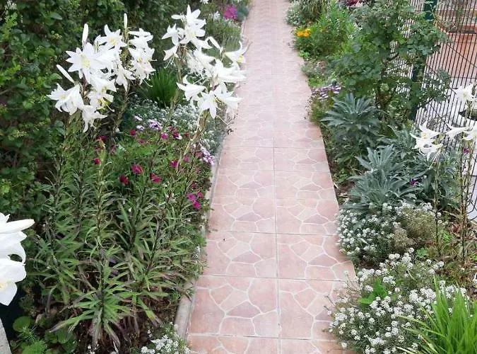 Apartament Iris Sabunike *