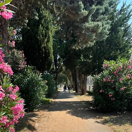 Renata Privlaka (Zadar)