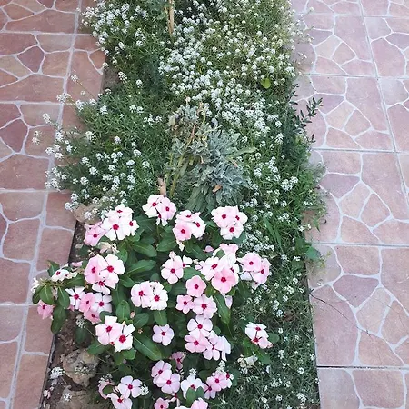 Iris Sabunike Apartment Privlaka (Zadar)