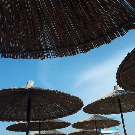 Iris Sabunike * Privlaka (Zadar)