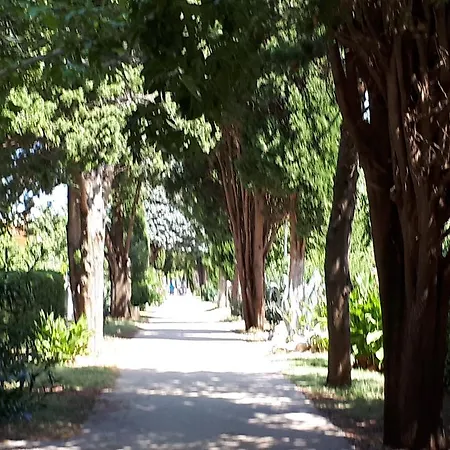 Apartment Iris Sabunike *