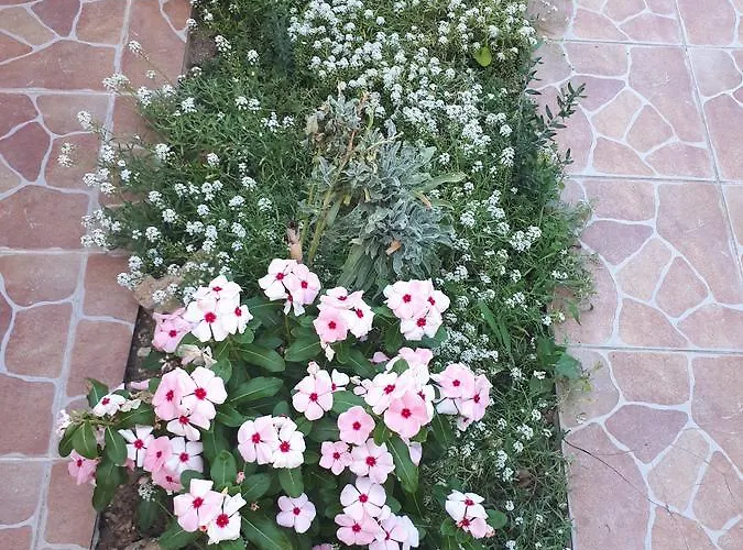 Iris Sabunike Apartamento Privlaka (Zadar)