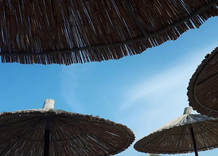 Iris Sabunike * Privlaka (Zadar)